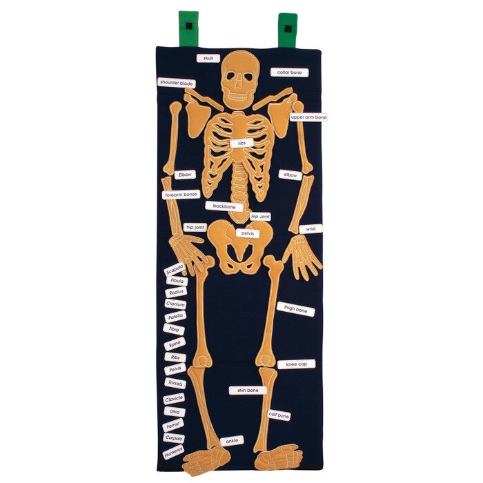 Bag of Bones anatomy and PSHE teaching resource with embroidered bones of the human skeleton and identification labels, 79994