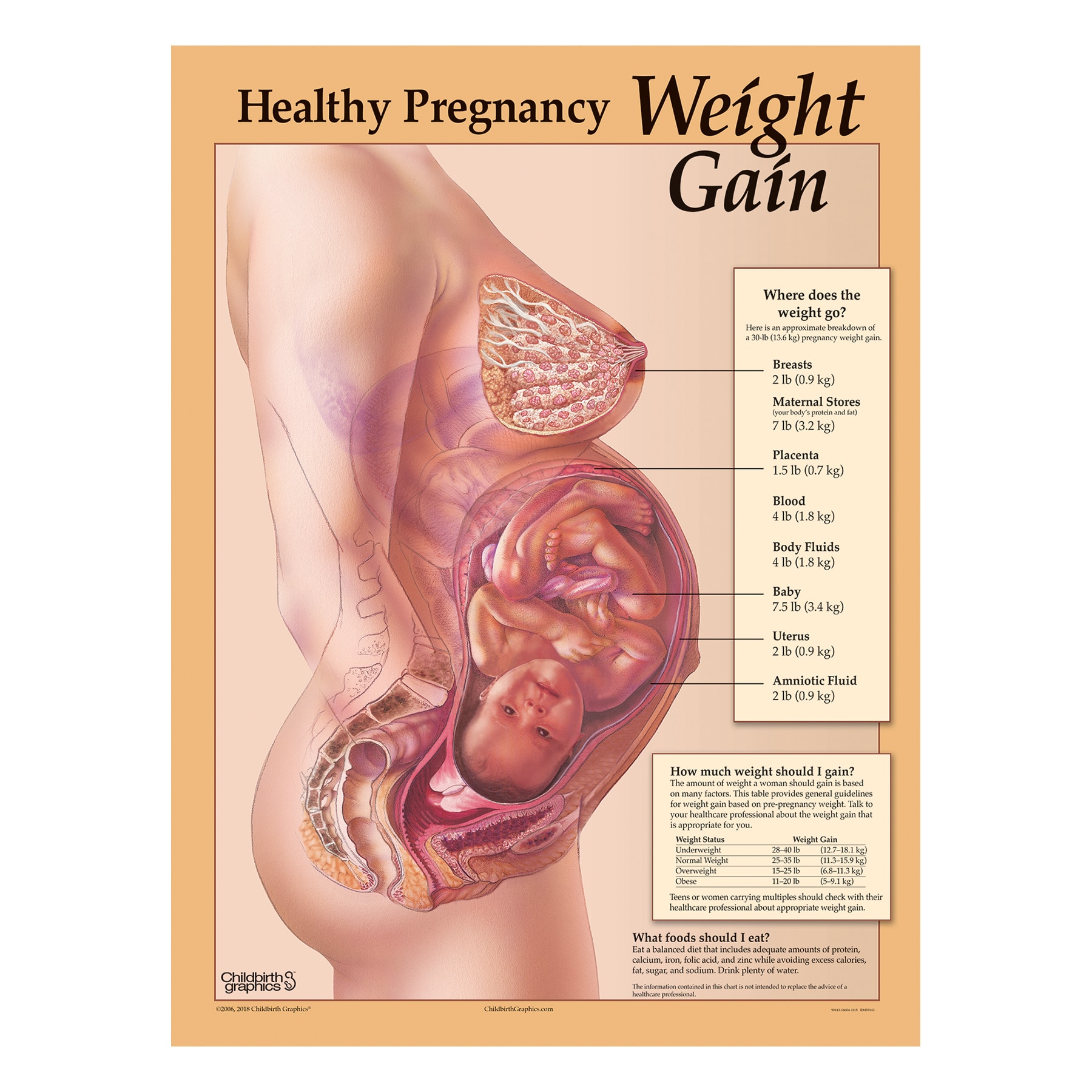 Pregnancy Weight Gain Chart Uk